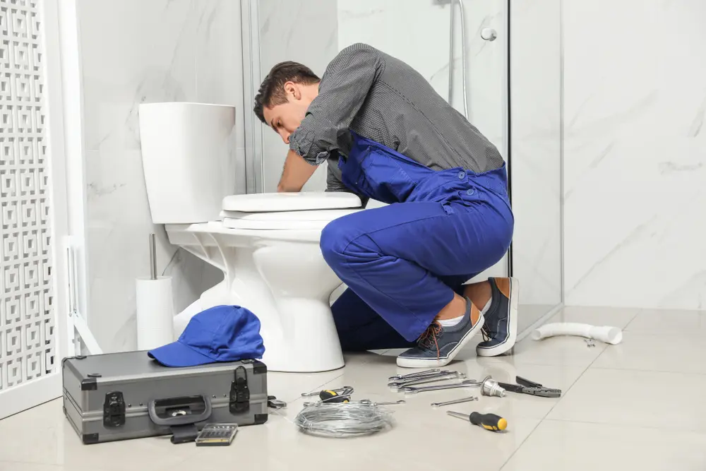 Toilet Installation in Homestead
